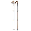 Trekking Poles