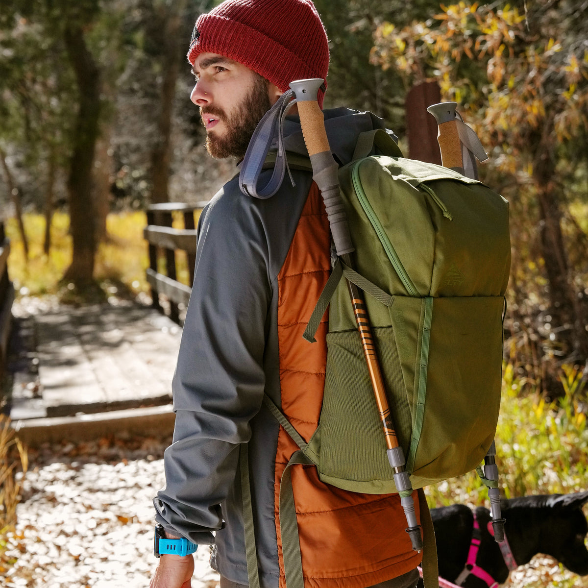 Kelty Asher 24L Rucksack - Winter Moss